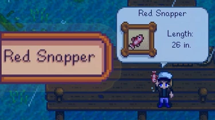 Red Snapper Stardew Valley Guide Sdew Hq