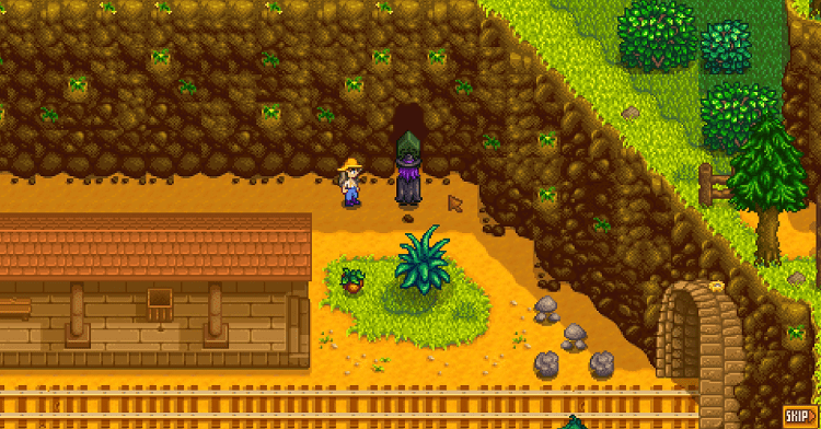 Stardew Valley Train