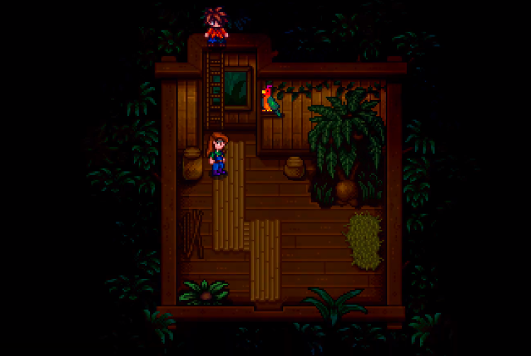 Leo Stardew Valley