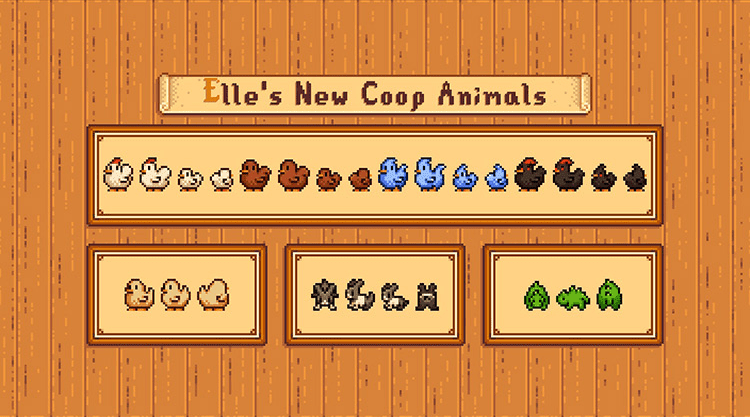 Elle's New Coop Animals