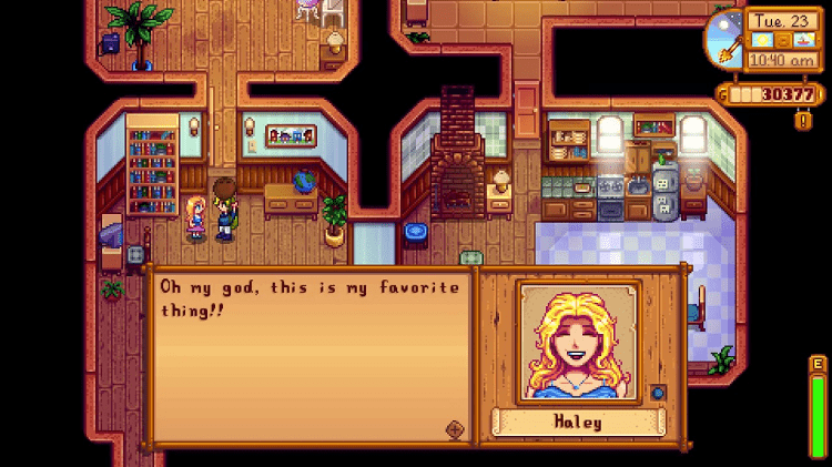 haley stardew valley gift