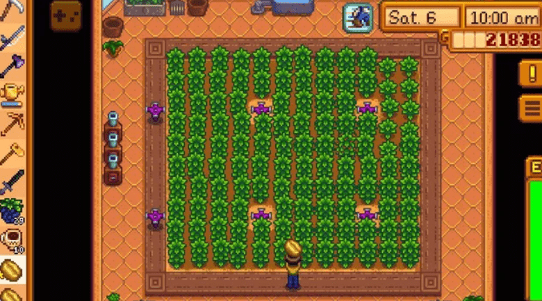 Coffee Beans stardew valley