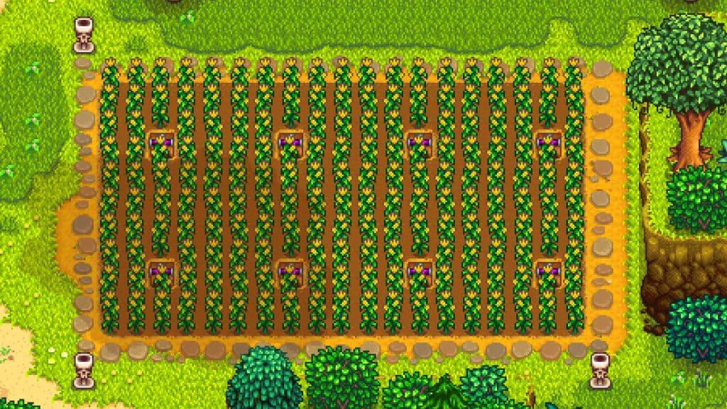 Corn Stardew Valley