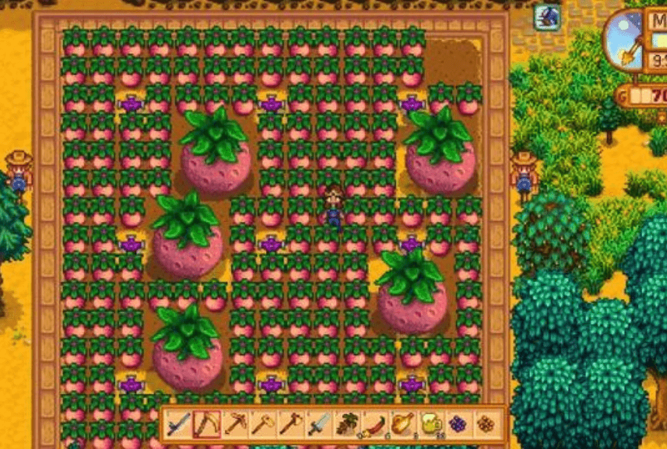 Melon stardew valley