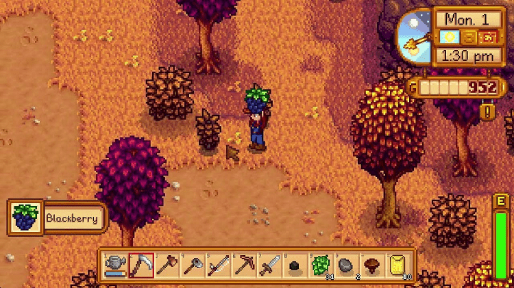 Stardew Valley Foraging