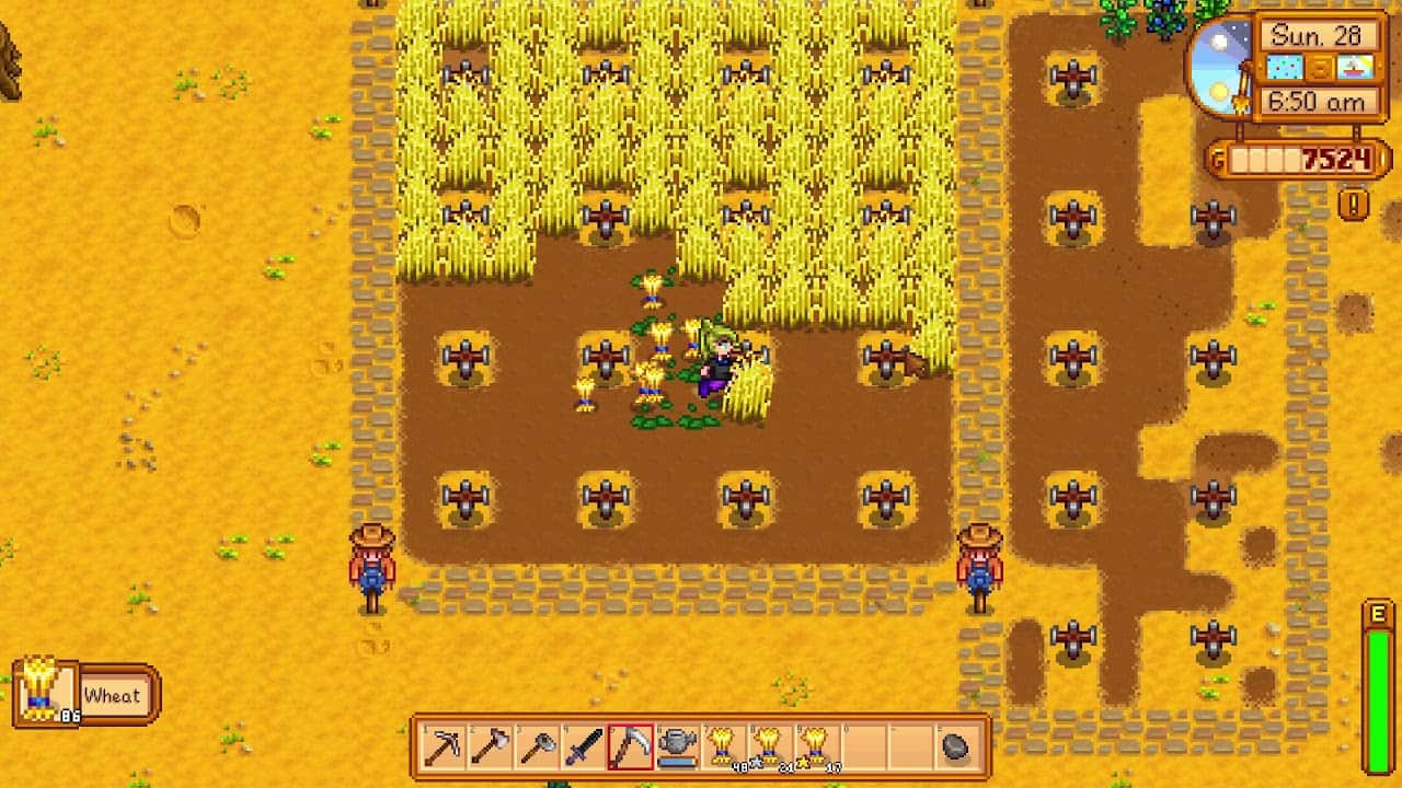 Wheat stardew valley