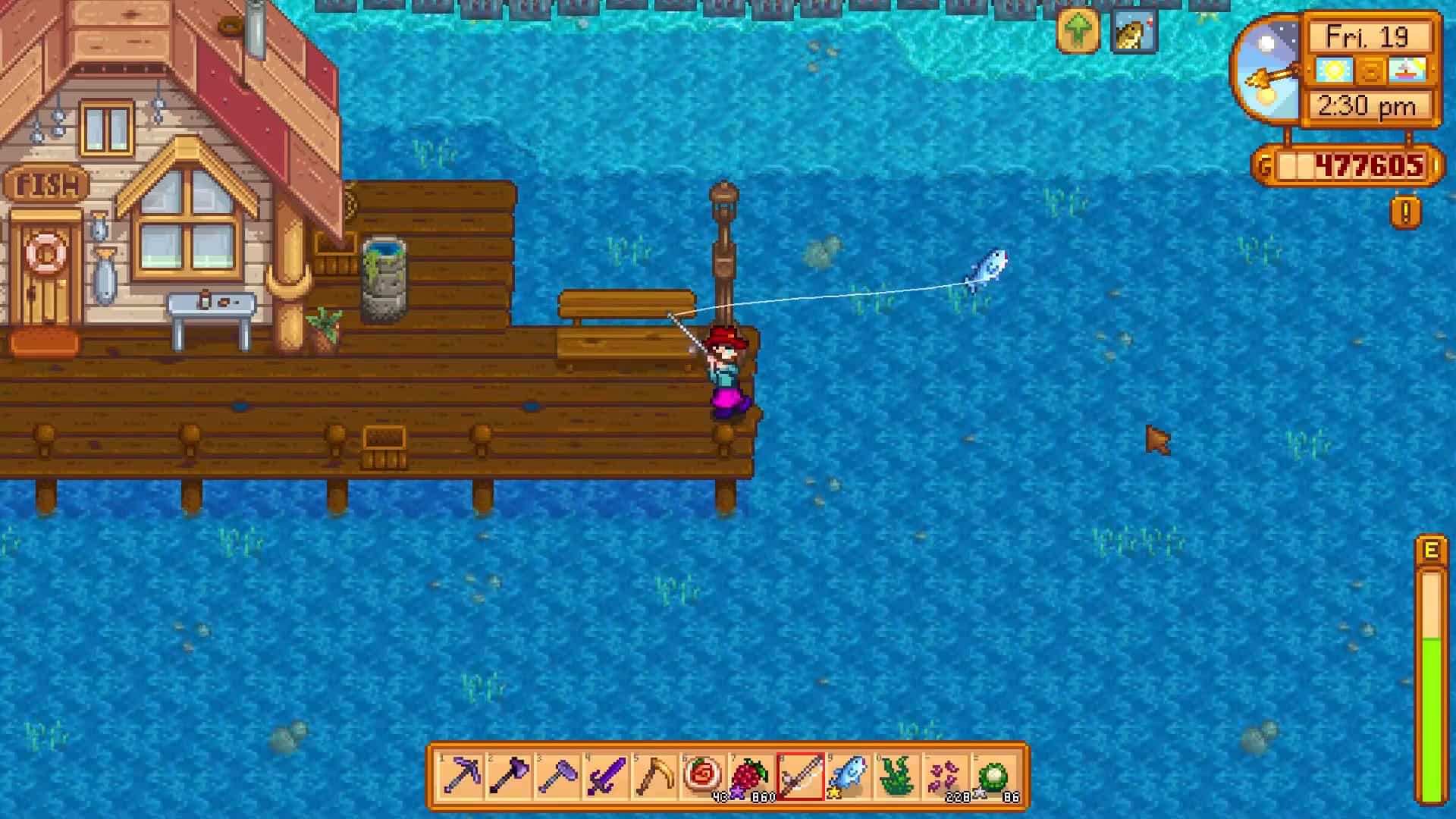 stardew valley tuna fishing