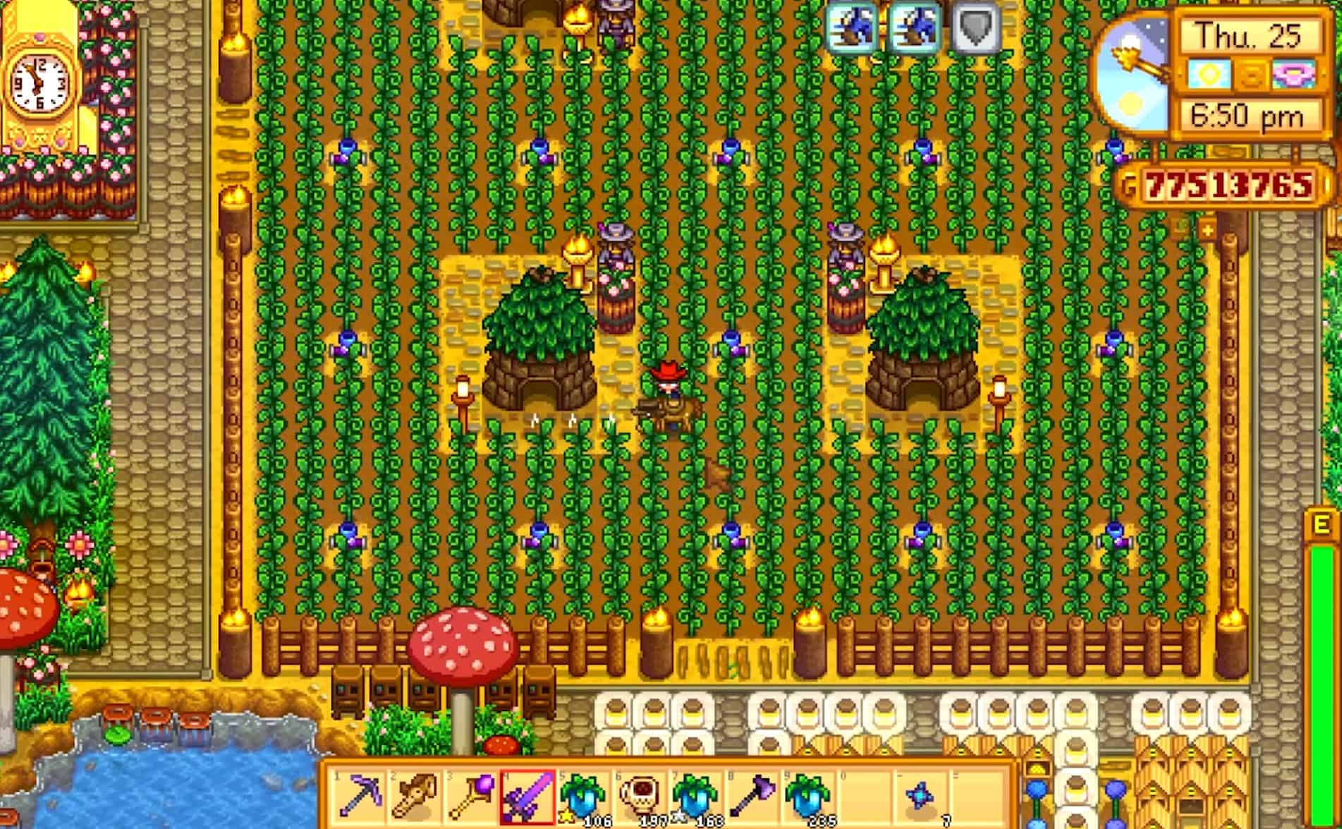 Stardew Valley Farm