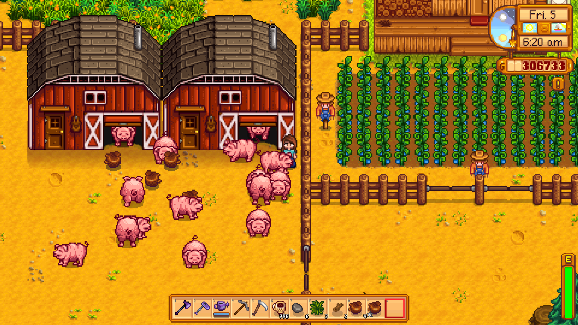 Barn and farm in stardew valley