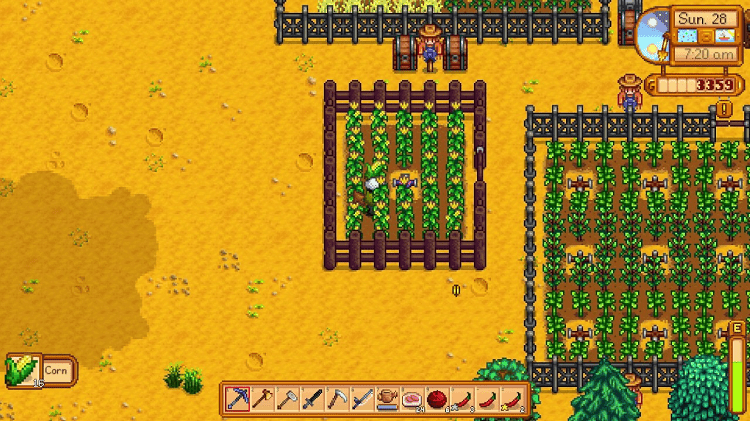 corn stardew valley