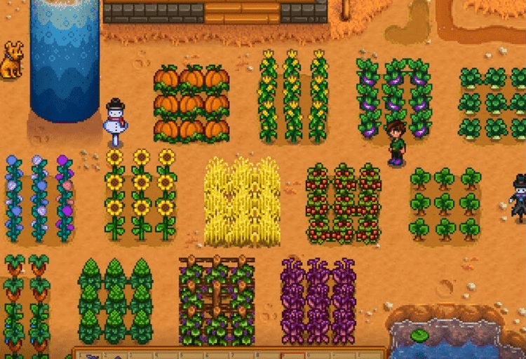 fall crops stardew valley