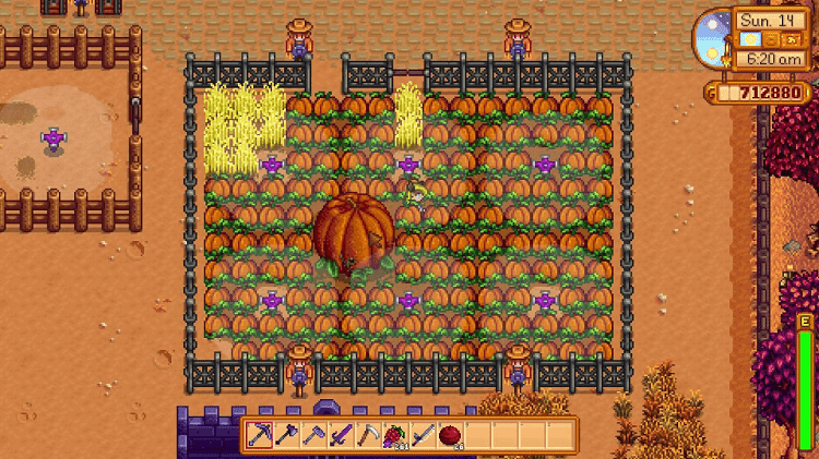 pumpkin stardew valley