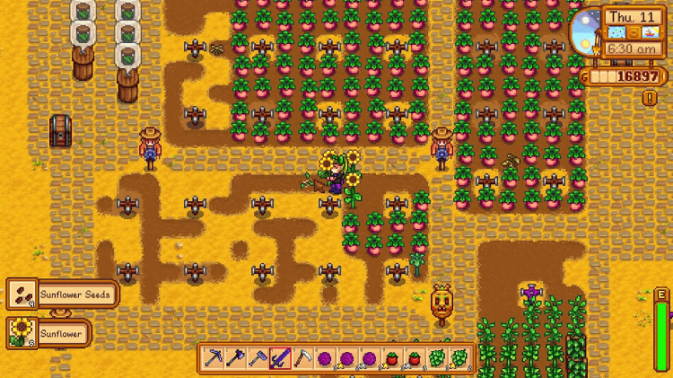 sunflower stardew valley