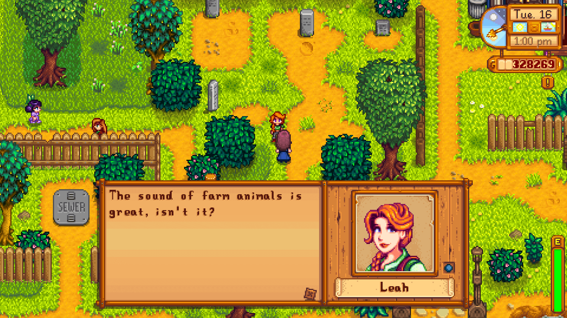 Stardew Valley Character Leah